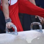 پایان رقابت‌ جوانان در لیگ ژیمناستیک هنری؛ الماسی اردبیل جام قهرمانی را به خانه برد